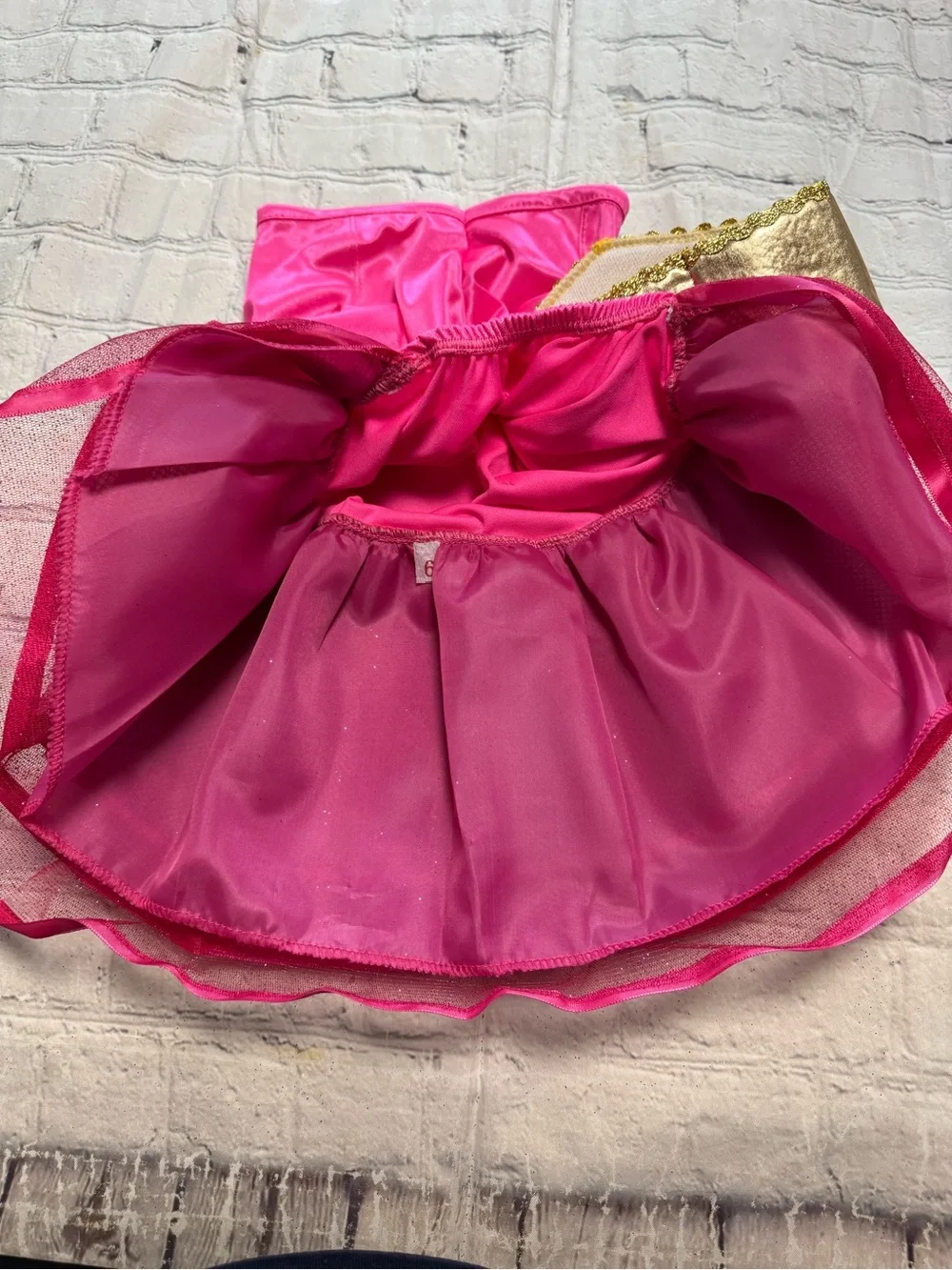Pet Warrior Dog Princess Costume Dress with Emblem. Halloween costume.